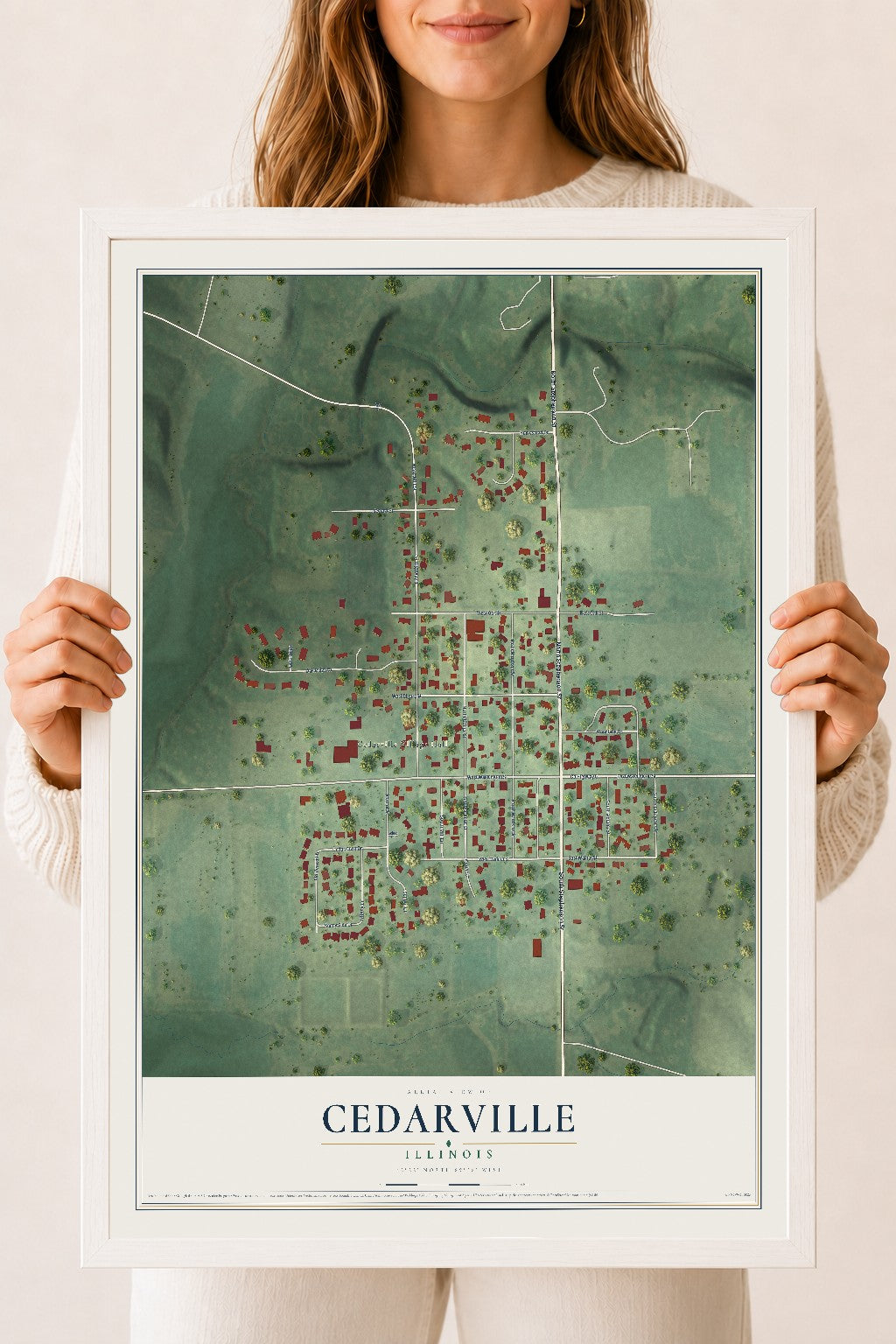 Map of Cedarville, Illinois, 18 x 24 inch print in a white wood frame