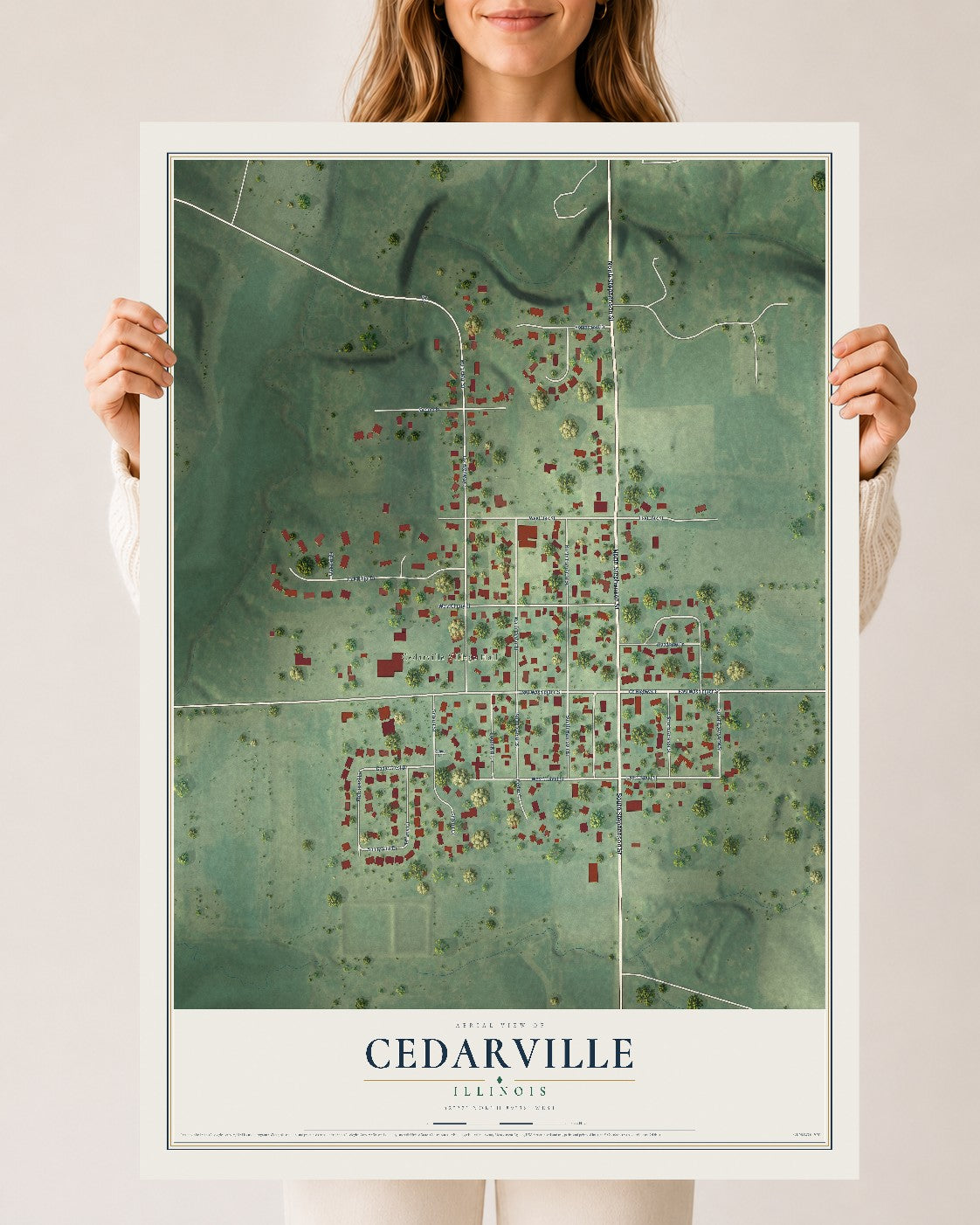 Map of Cedarville, Illinois, 24 x 36 inch unframed archival matte print