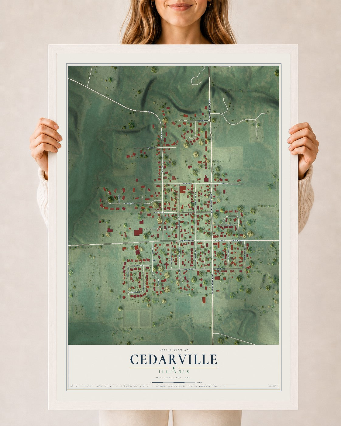 Map of Cedarville, Illinois, 24 x 36 inch print in a white wood frame