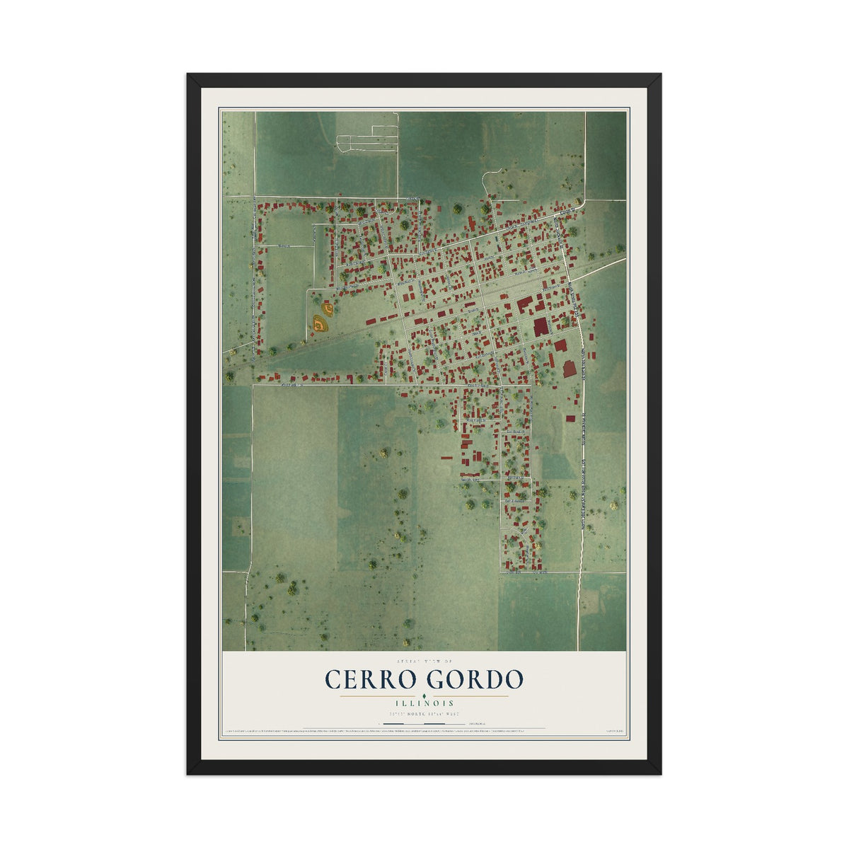 Map of Cerro Gordo, Illinois, 12 x 18 inch print in a black wood frame