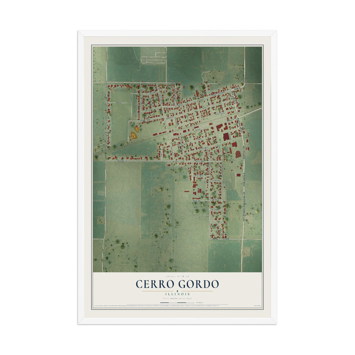 Map of Cerro Gordo, Illinois, 12 x 18 inch print in a white wood frame