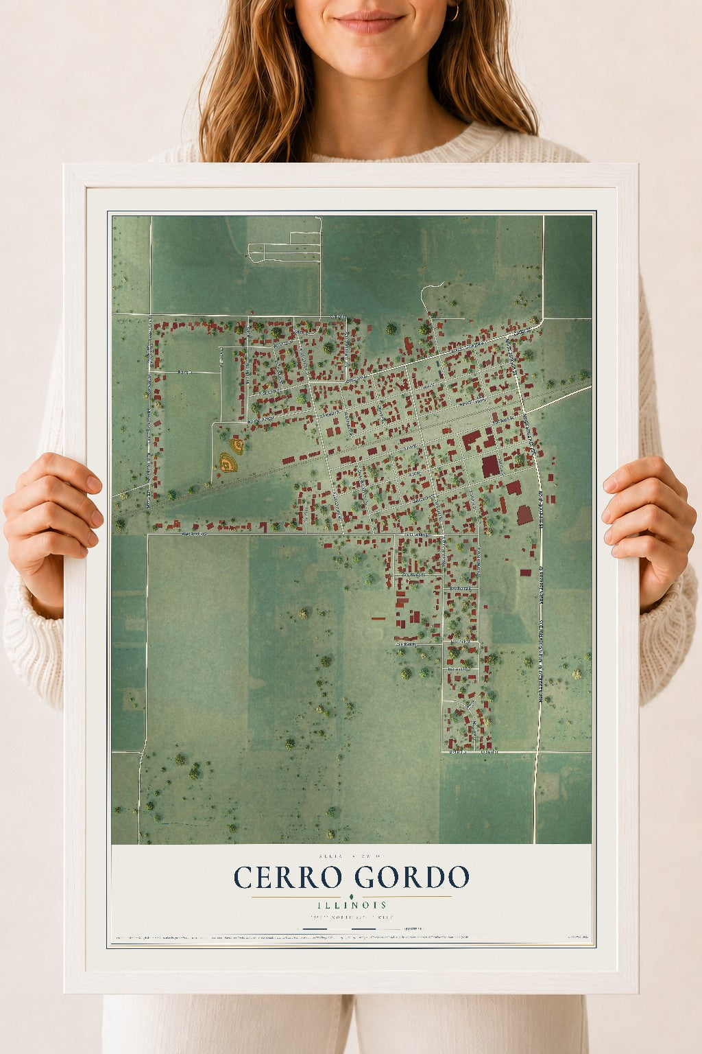 Map of Cerro Gordo, Illinois, 18 x 24 inch print in a white wood frame
