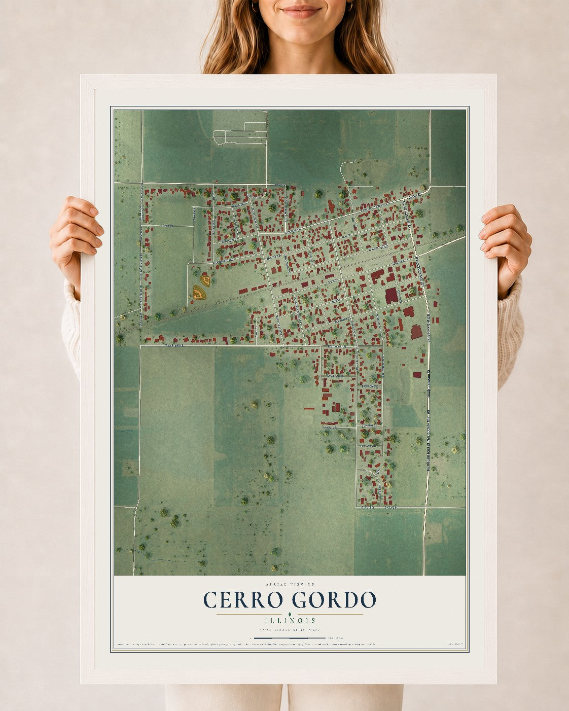 Map of Cerro Gordo, Illinois, 24 x 36 inch print in a white wood frame