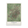 Map of Champaign, Illinois, 12 x 18 inch unframed archival matte print