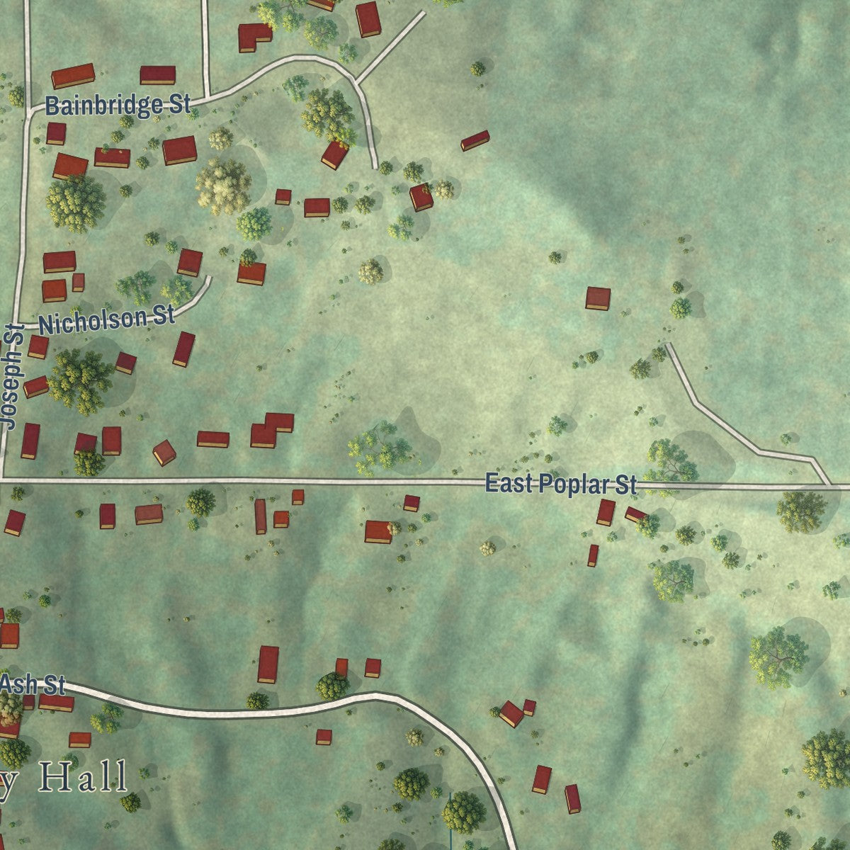 Second close-up of the map of Cobden, Illinois print showing more streets and buildings