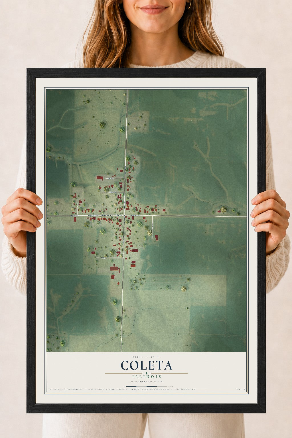 Map of Coleta, Illinois, 18 x 24 inch print in a black wood frame