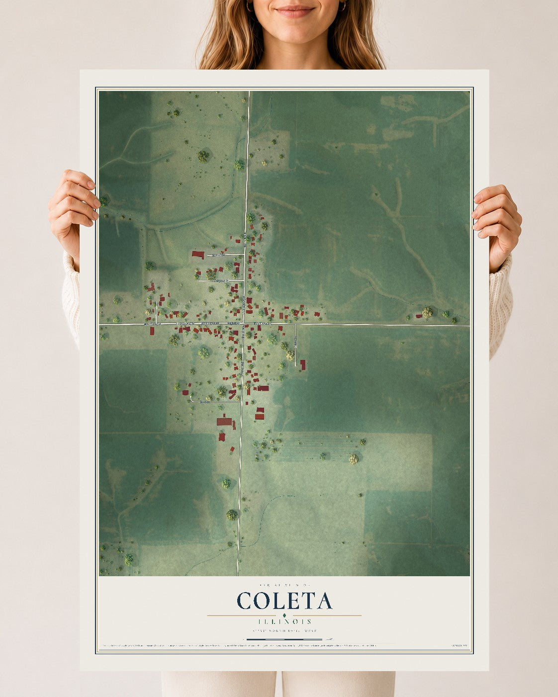 Map of Coleta, Illinois, 24 x 36 inch unframed archival matte print