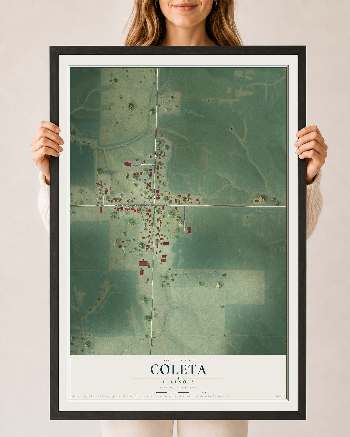 Map of Coleta, Illinois, 24 x 36 inch print in a black wood frame