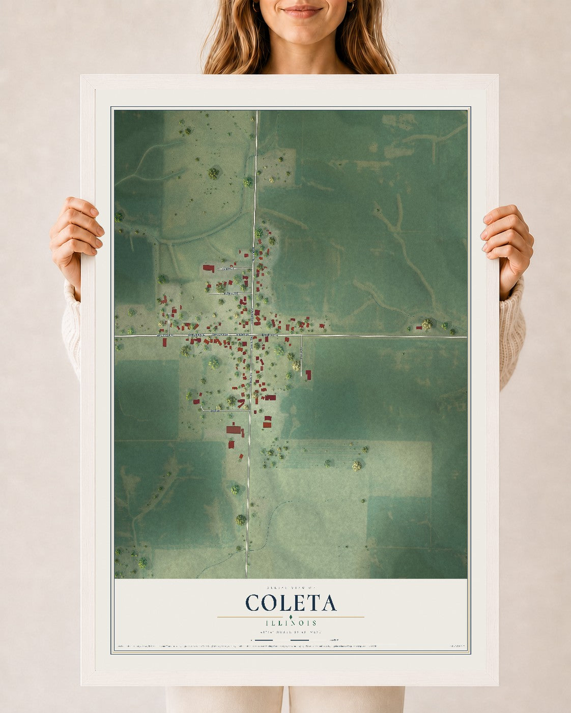 Map of Coleta, Illinois, 24 x 36 inch print in a white wood frame