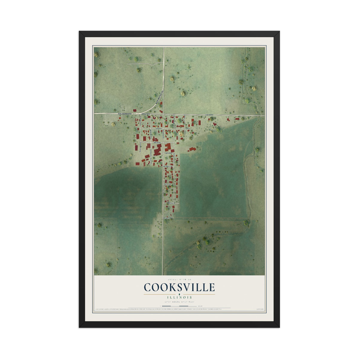 Map of Cooksville, Illinois, 12 x 18 inch print in a black wood frame