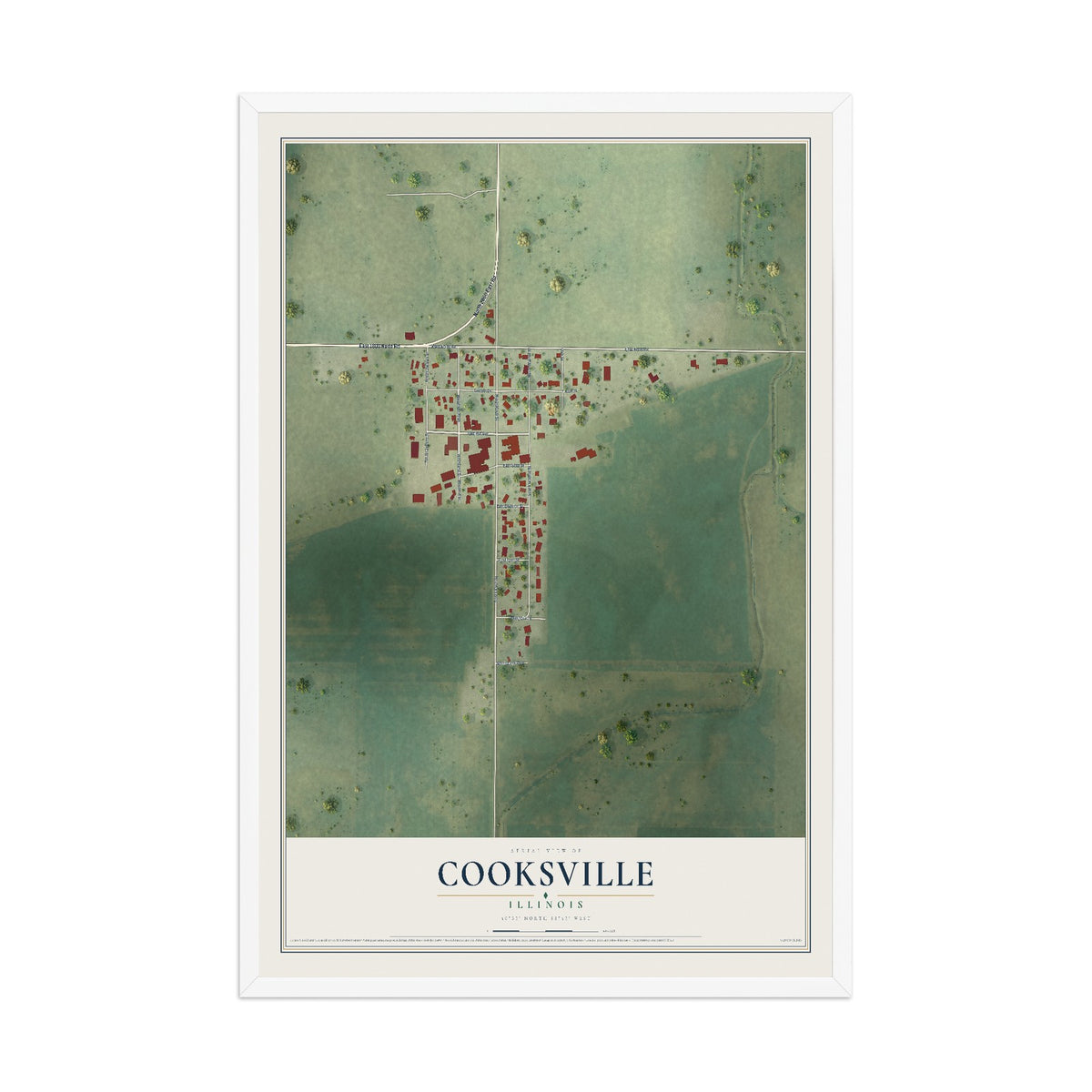 Map of Cooksville, Illinois, 12 x 18 inch print in a white wood frame