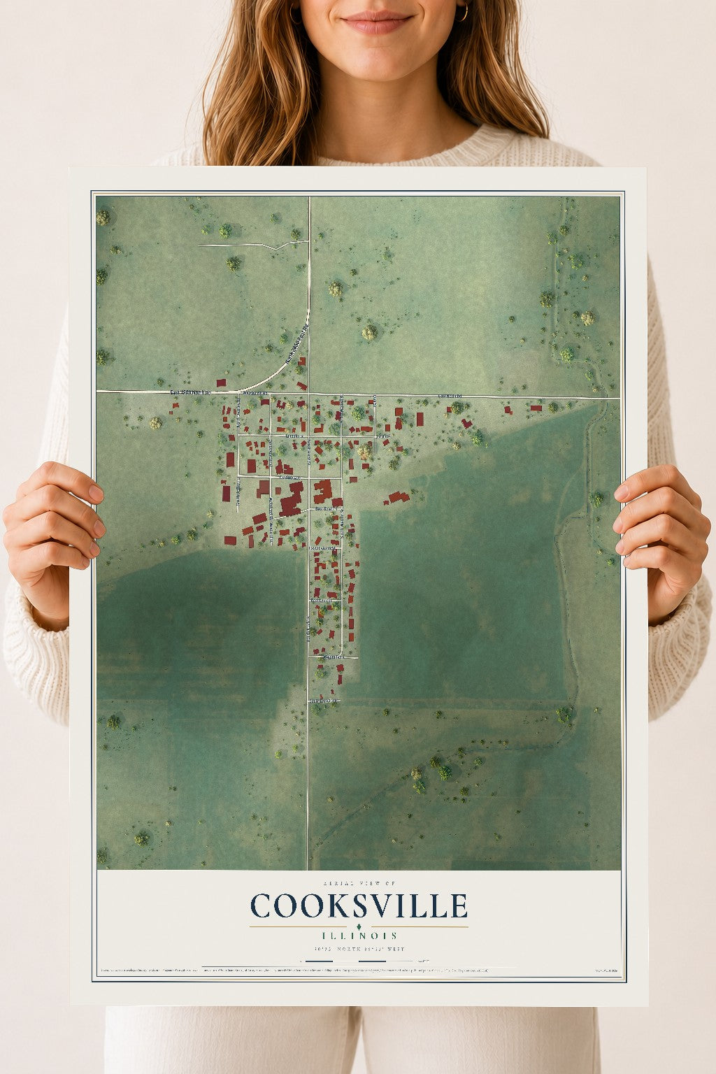 Map of Cooksville, Illinois, 18 x 24 inch unframed archival matte print