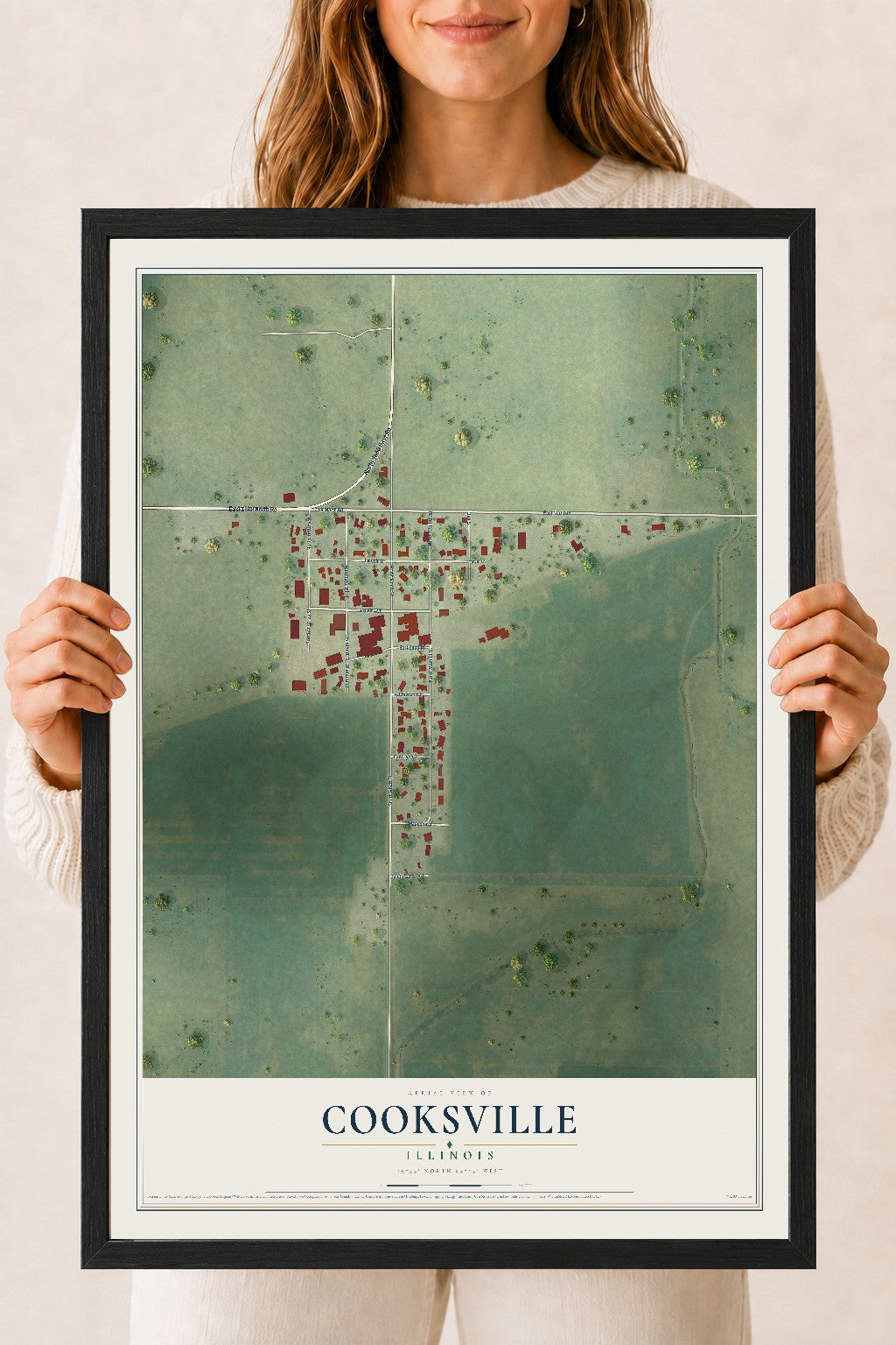 Map of Cooksville, Illinois, 18 x 24 inch print in a black wood frame