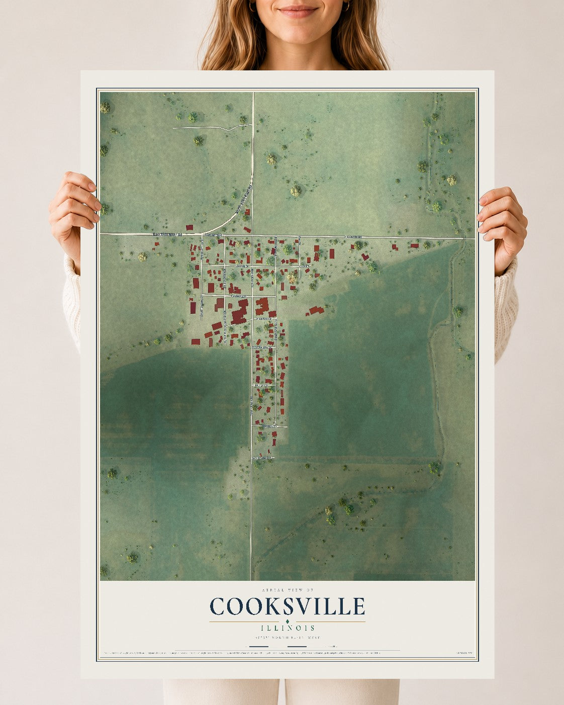 Map of Cooksville, Illinois, 24 x 36 inch unframed archival matte print