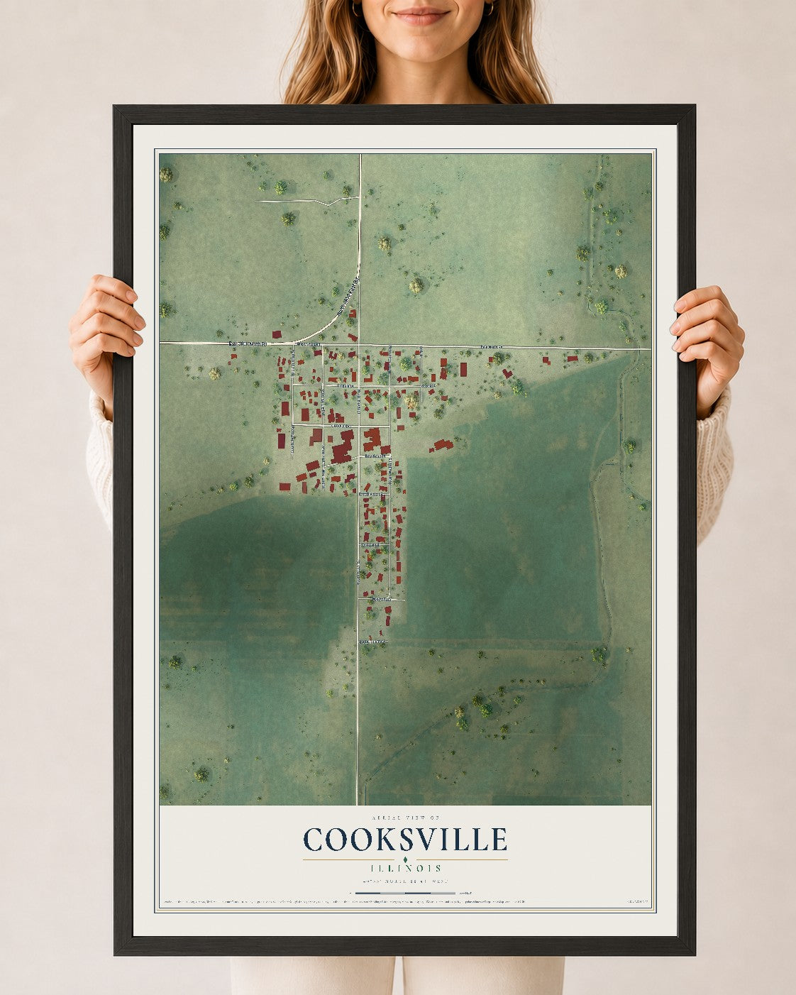 Map of Cooksville, Illinois, 24 x 36 inch print in a black wood frame
