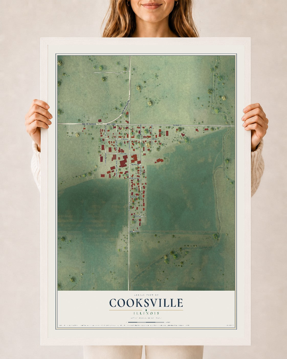 Map of Cooksville, Illinois, 24 x 36 inch print in a white wood frame