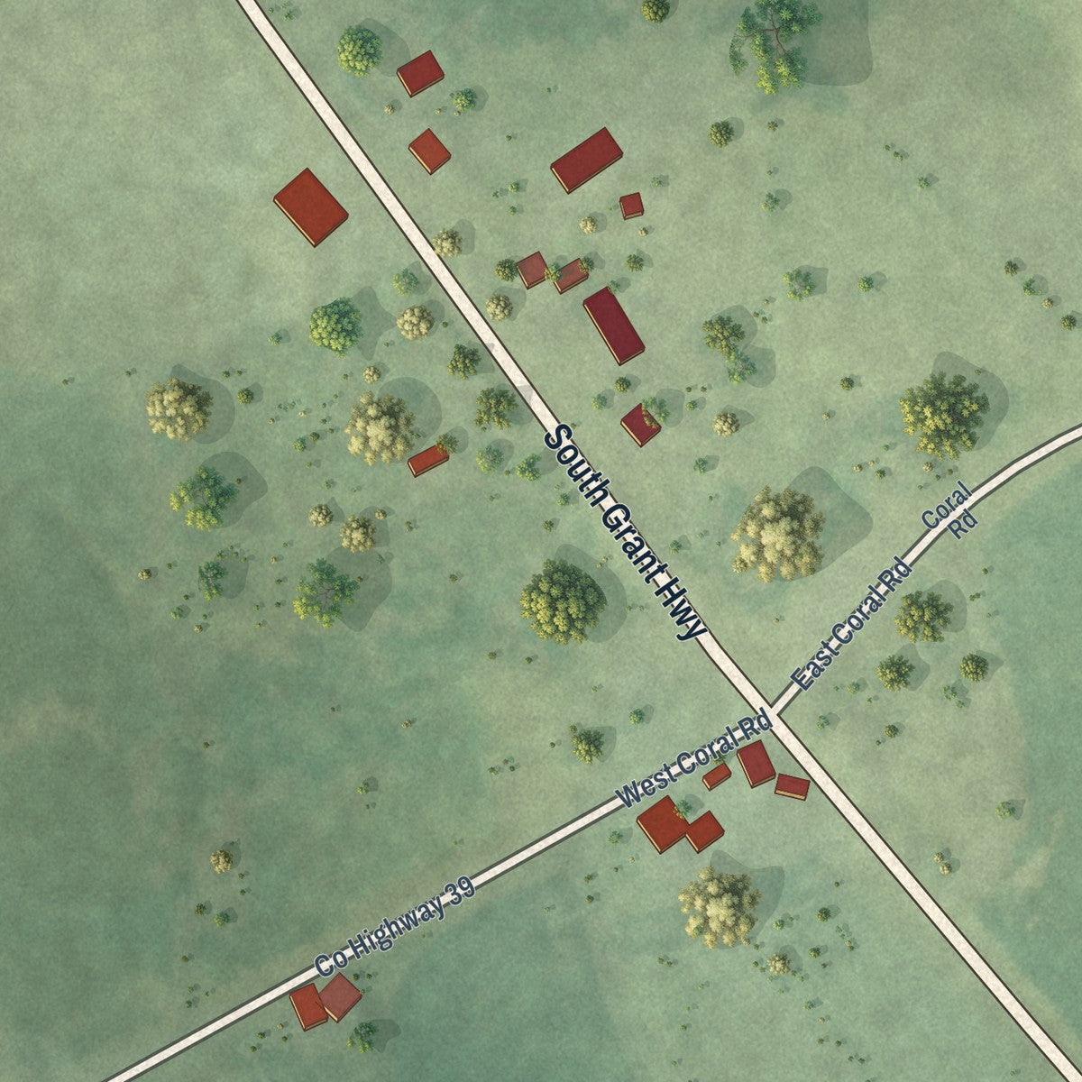 Close-up of the map of Coral, Illinois print showing street and building detail
