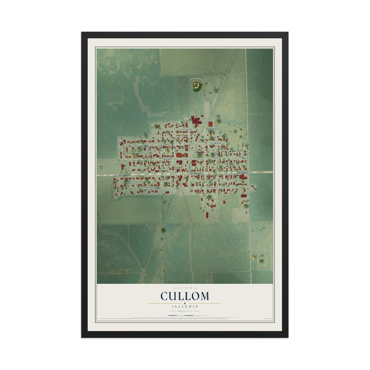 Map of Cullom, Illinois, 12 x 18 inch print in a black wood frame