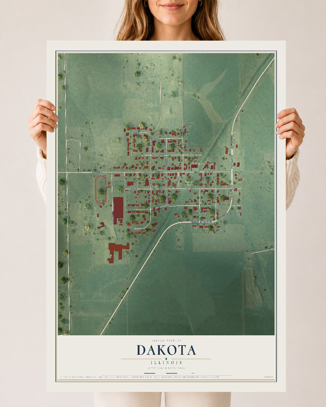 Map of Dakota, Illinois, 24 x 36 inch unframed archival matte print