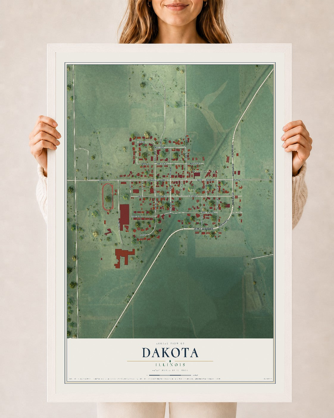 Map of Dakota, Illinois, 24 x 36 inch print in a white wood frame