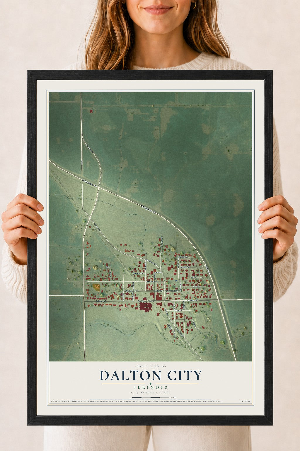 Map of Dalton City, Illinois, 18 x 24 inch print in a black wood frame