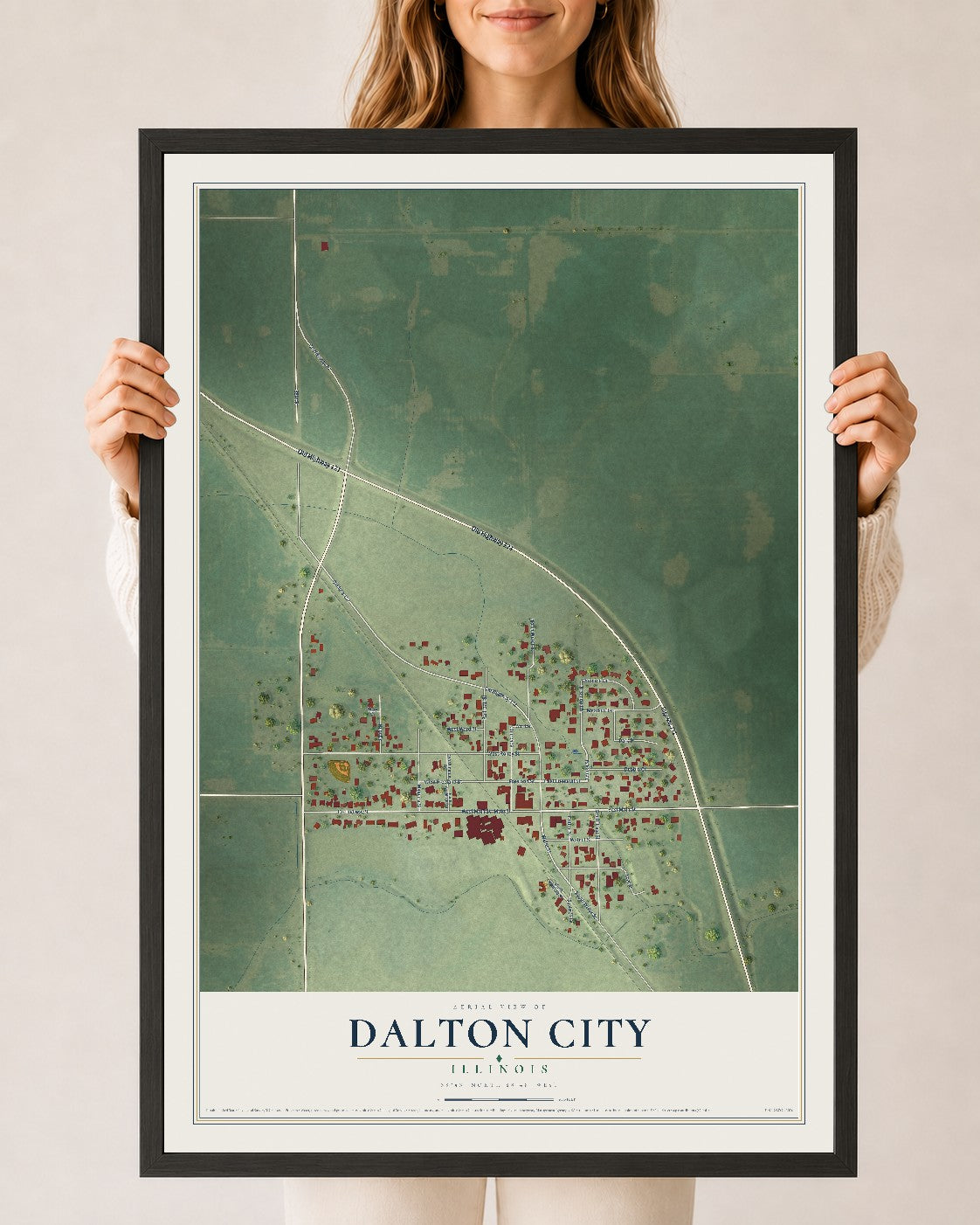 Map of Dalton City, Illinois, 24 x 36 inch print in a black wood frame
