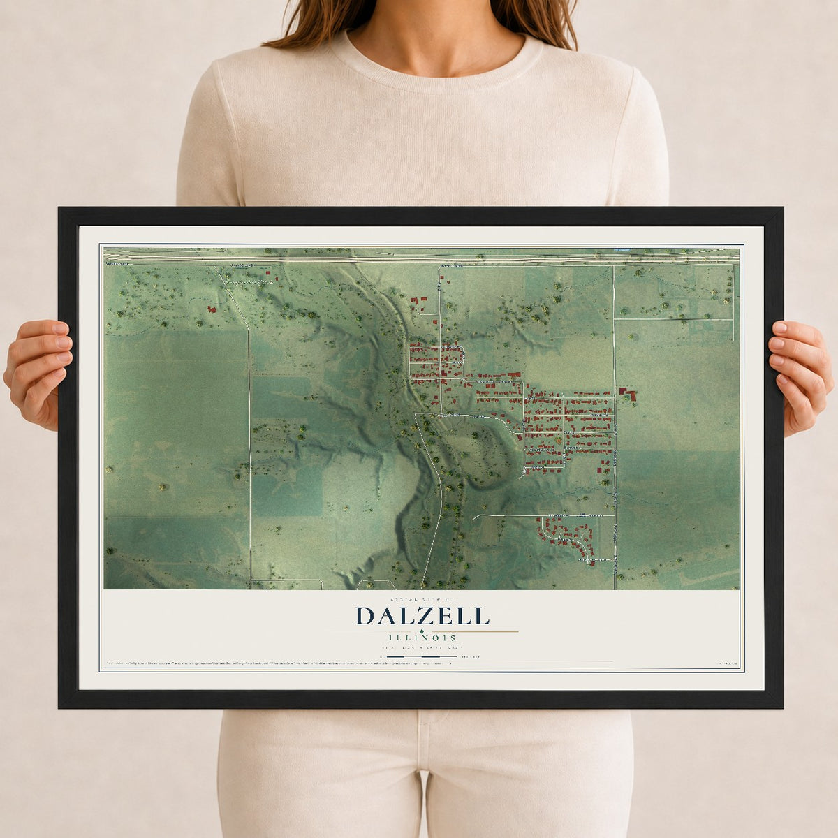Map of Dalzell, Illinois, 12 x 18 inch print in a black wood frame
