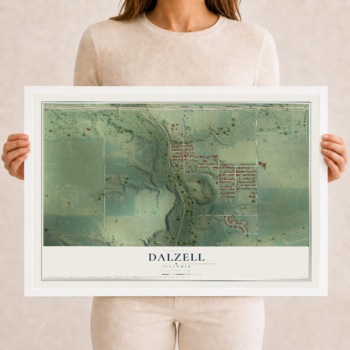 Map of Dalzell, Illinois, 12 x 18 inch print in a white wood frame