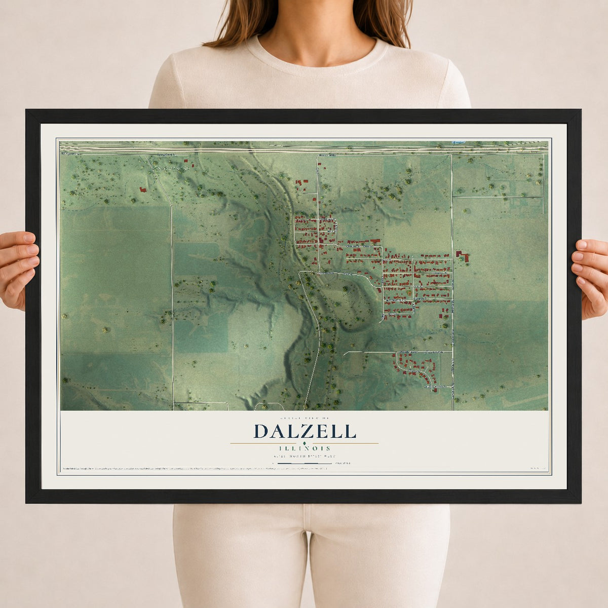 Map of Dalzell, Illinois, 18 x 24 inch print in a black wood frame