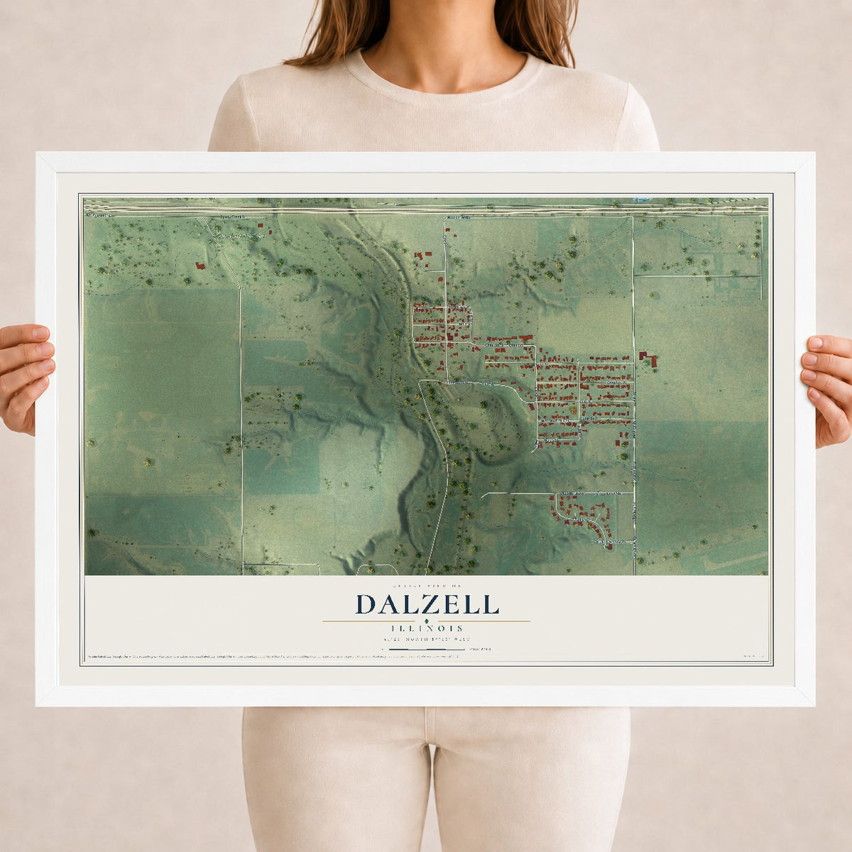 Map of Dalzell, Illinois, 18 x 24 inch print in a white wood frame
