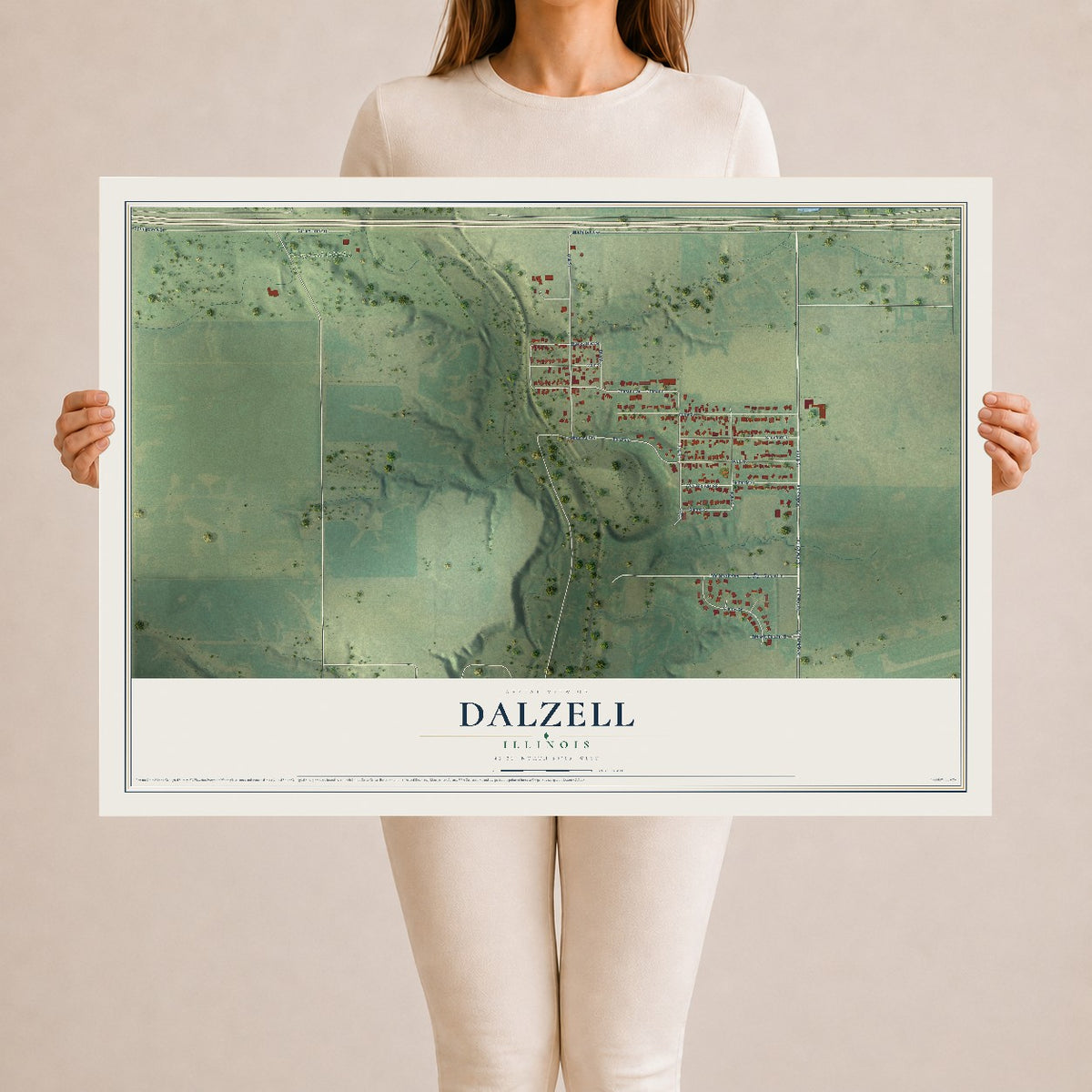 Map of Dalzell, Illinois, 24 x 36 inch unframed archival matte print