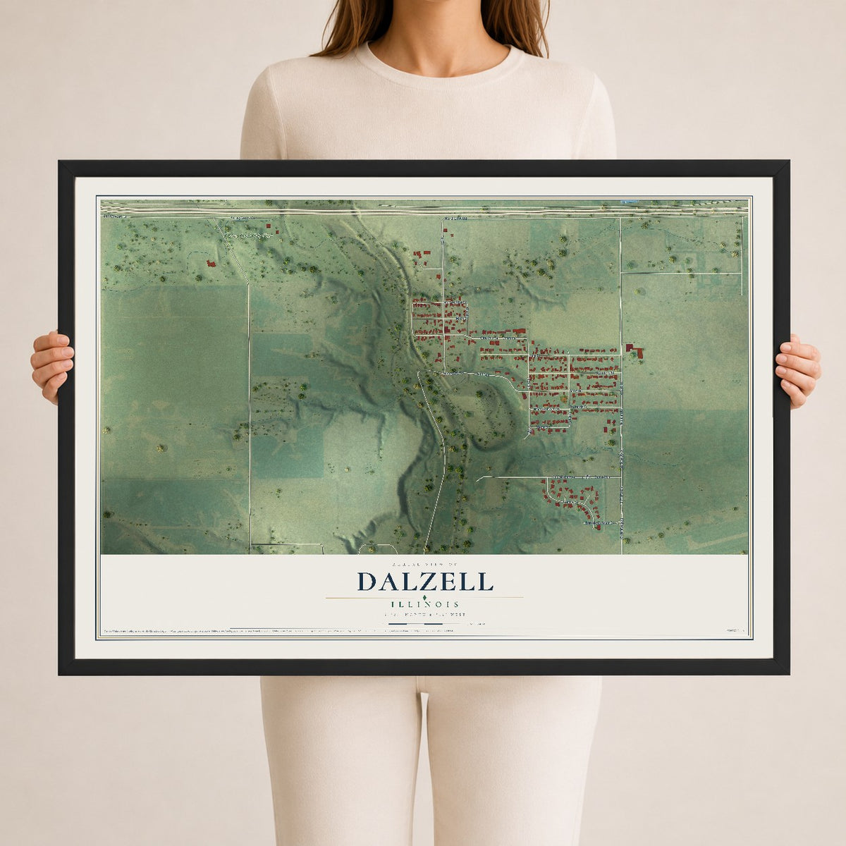 Map of Dalzell, Illinois, 24 x 36 inch print in a black wood frame