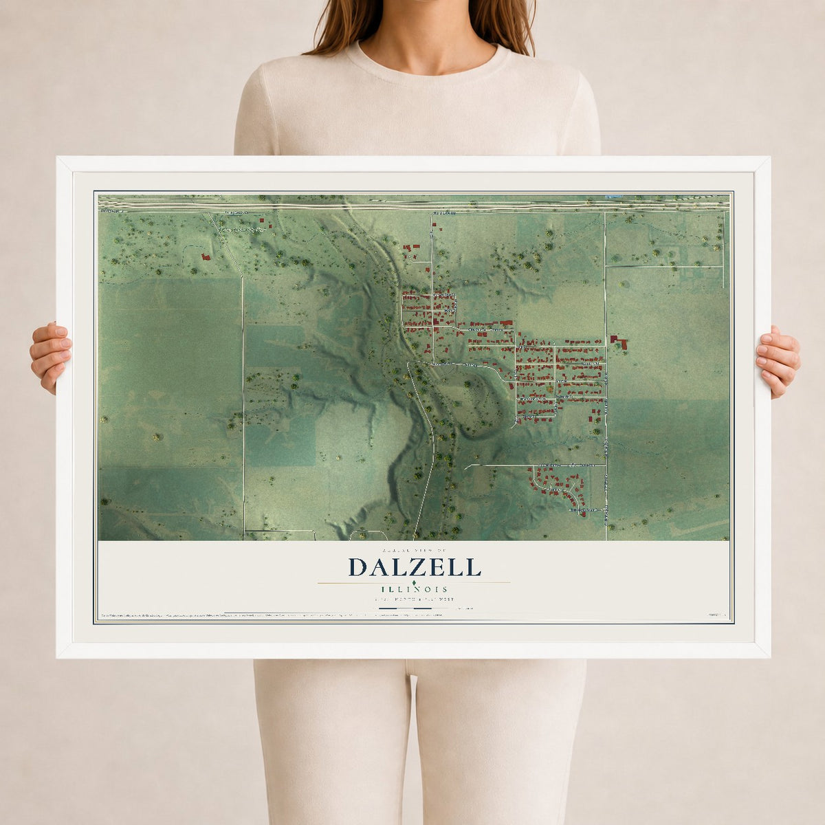 Map of Dalzell, Illinois, 24 x 36 inch print in a white wood frame