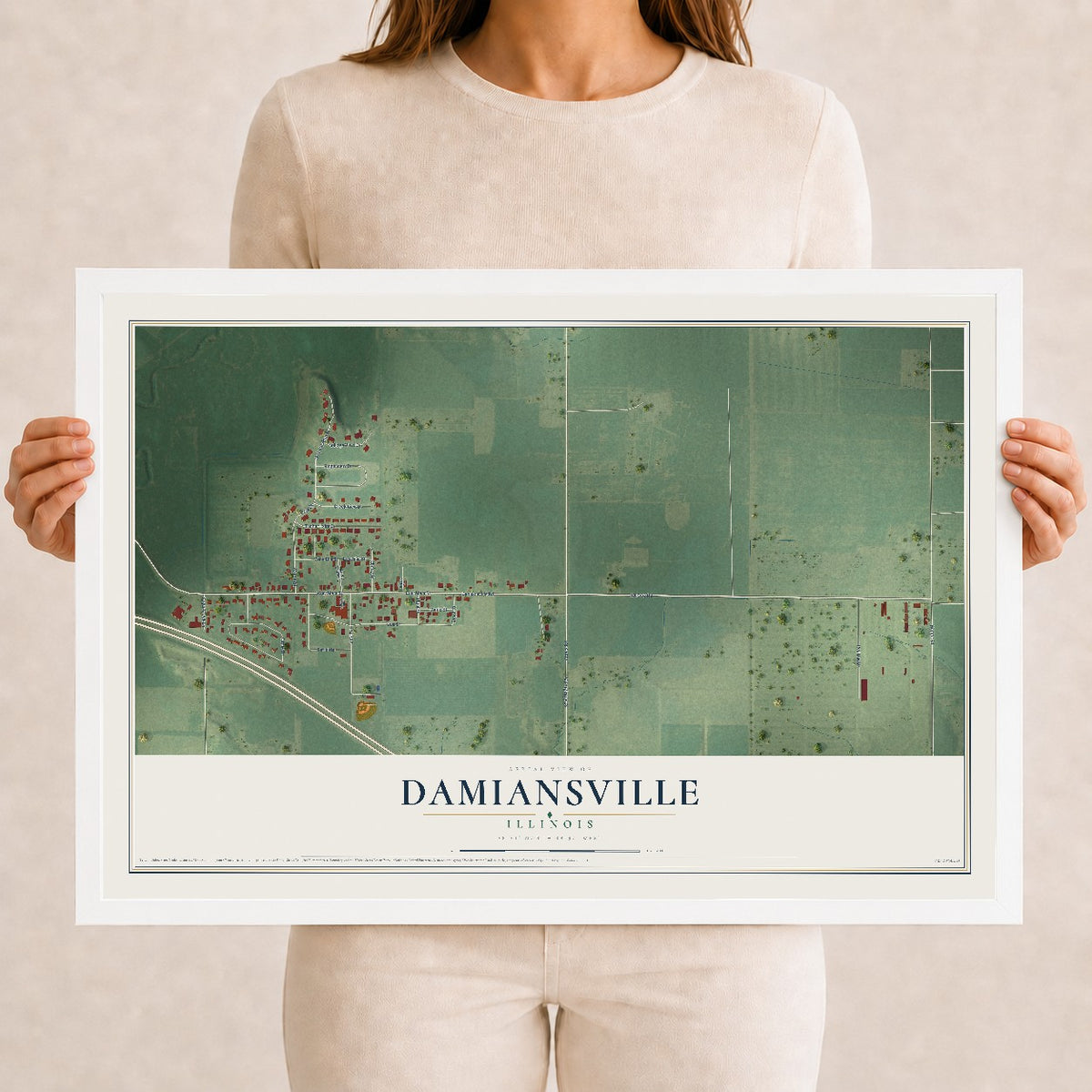 Map of Damiansville, Illinois, 12 x 18 inch print in a white wood frame