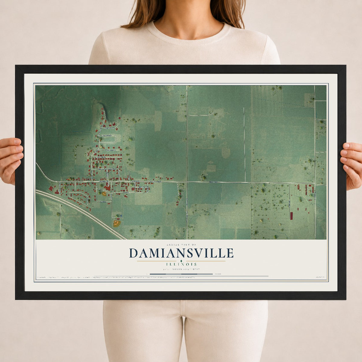 Map of Damiansville, Illinois, 18 x 24 inch print in a black wood frame
