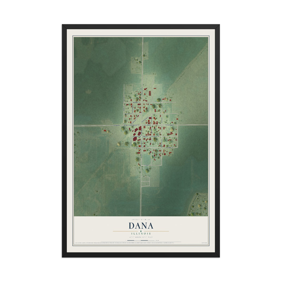 Map of Dana, Illinois, 12 x 18 inch print in a black wood frame