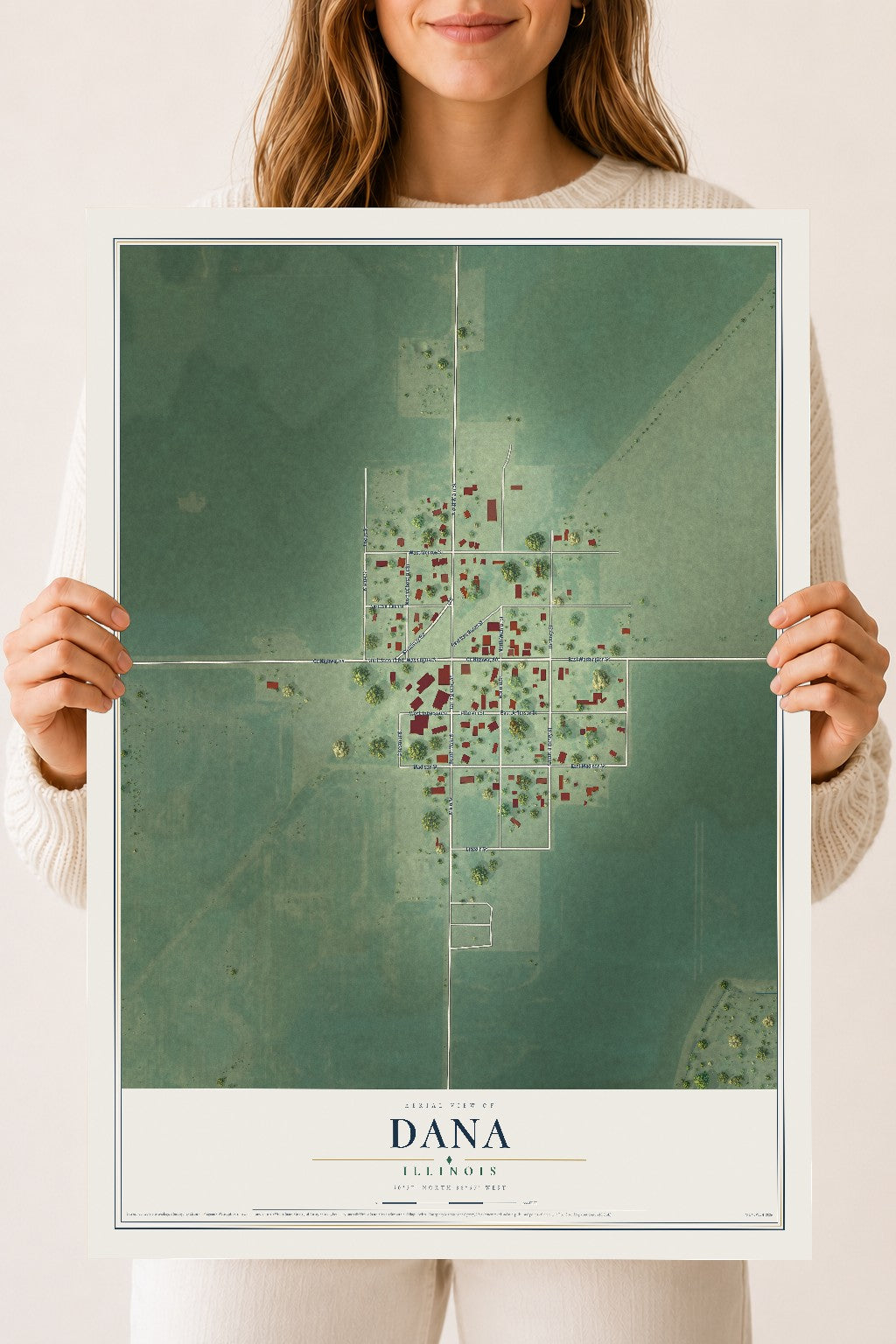 Map of Dana, Illinois, 18 x 24 inch unframed archival matte print