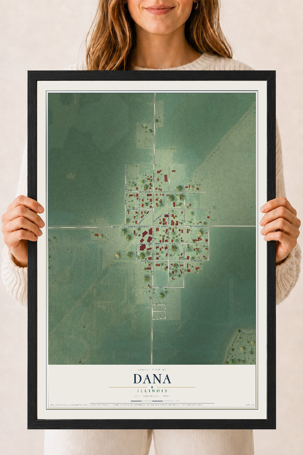 Map of Dana, Illinois, 18 x 24 inch print in a black wood frame