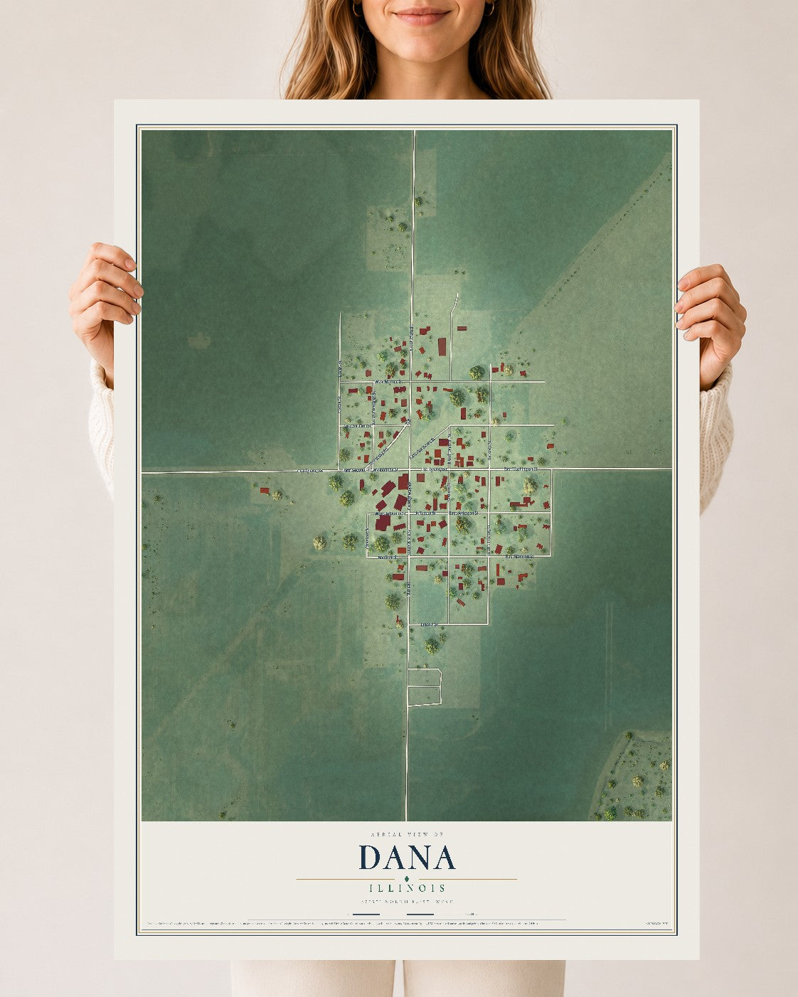 Map of Dana, Illinois, 24 x 36 inch unframed archival matte print