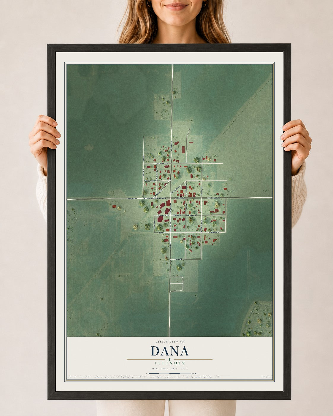 Map of Dana, Illinois, 24 x 36 inch print in a black wood frame