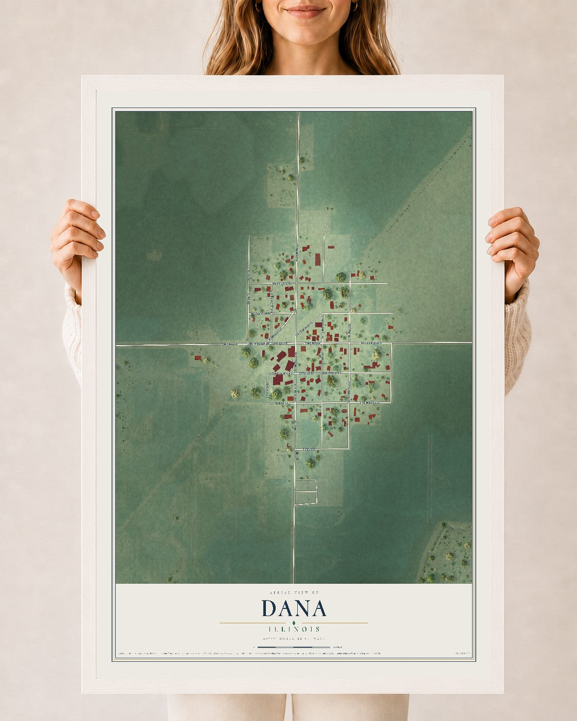 Map of Dana, Illinois, 24 x 36 inch print in a white wood frame