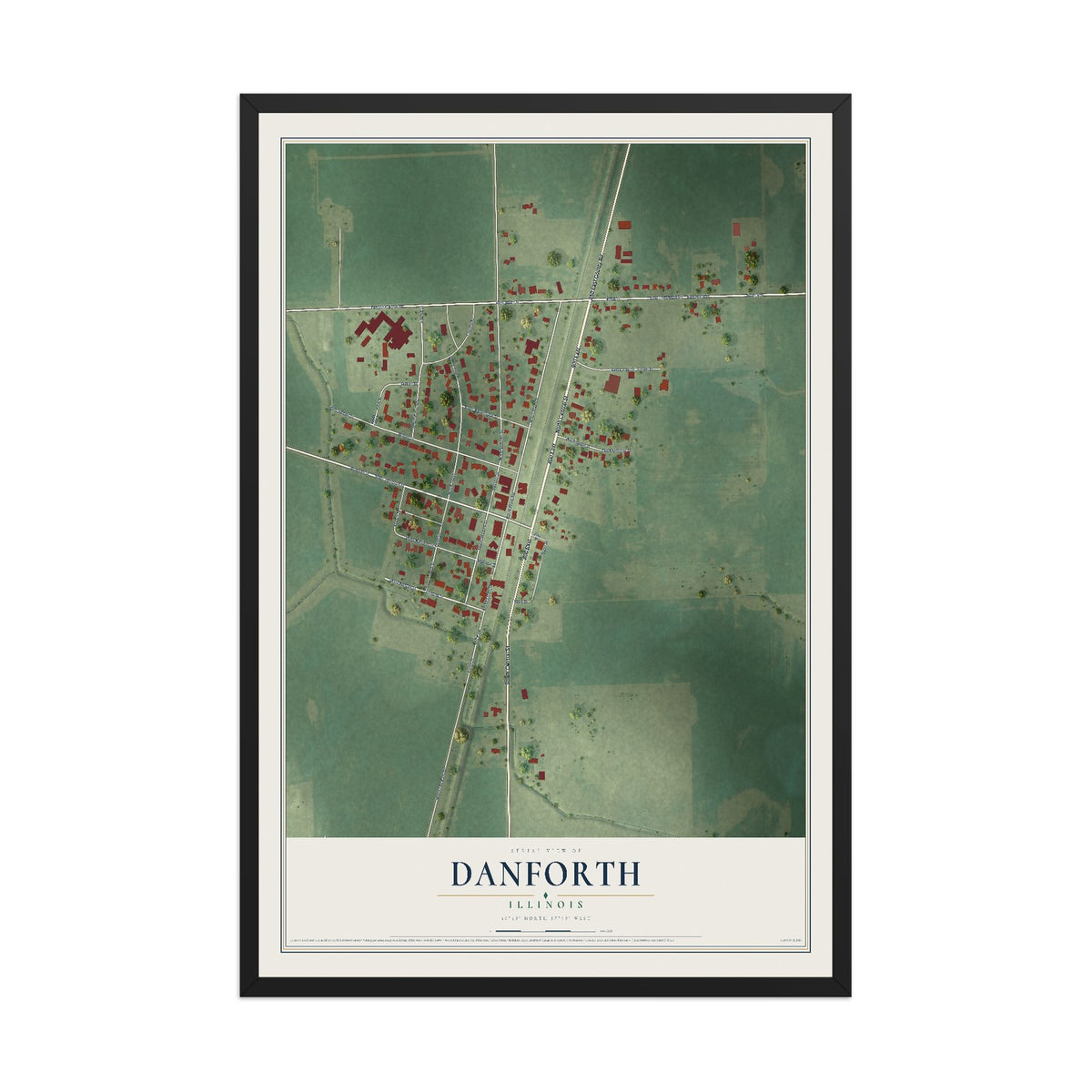 Map of Danforth, Illinois, 12 x 18 inch print in a black wood frame