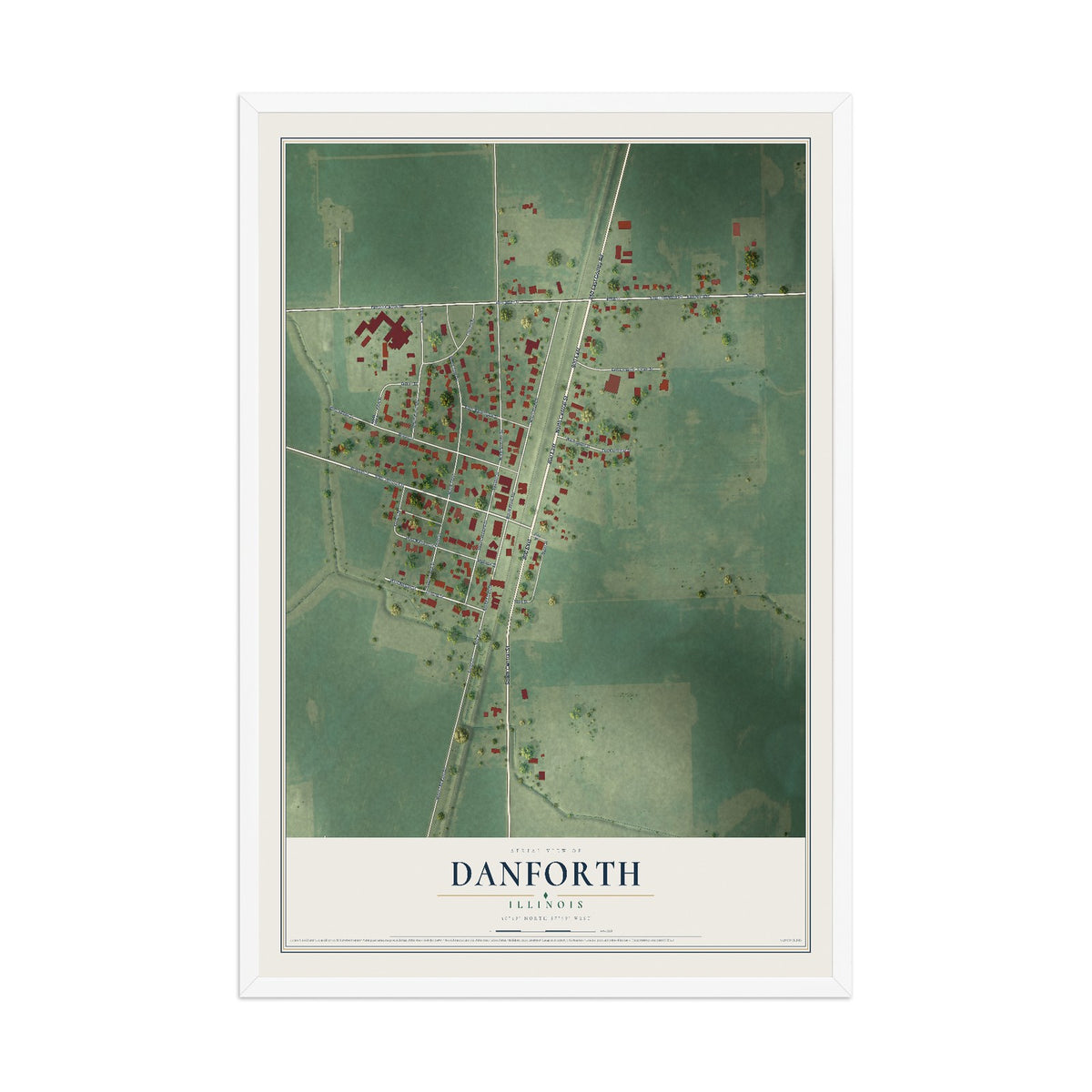 Map of Danforth, Illinois, 12 x 18 inch print in a white wood frame