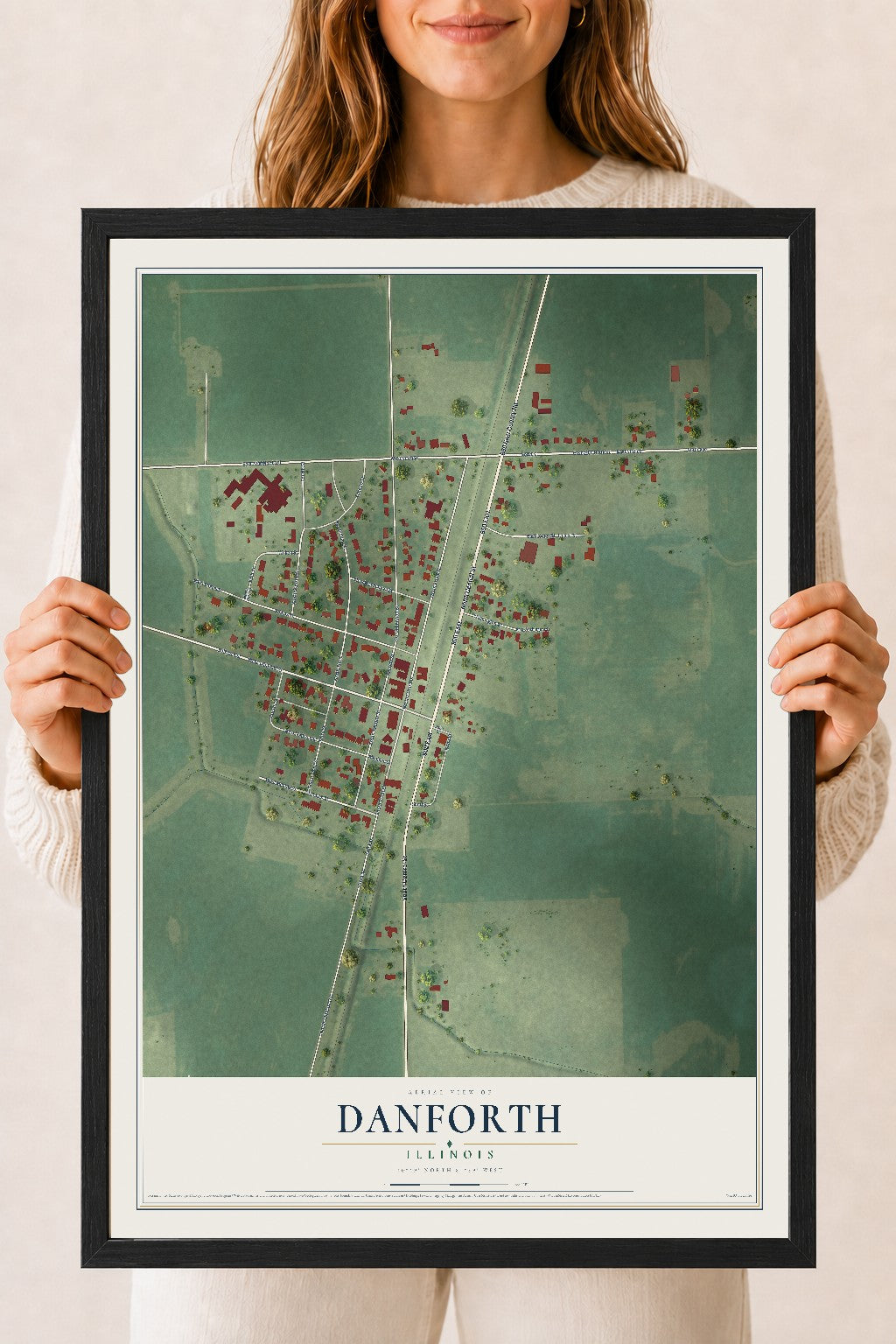 Map of Danforth, Illinois, 18 x 24 inch print in a black wood frame