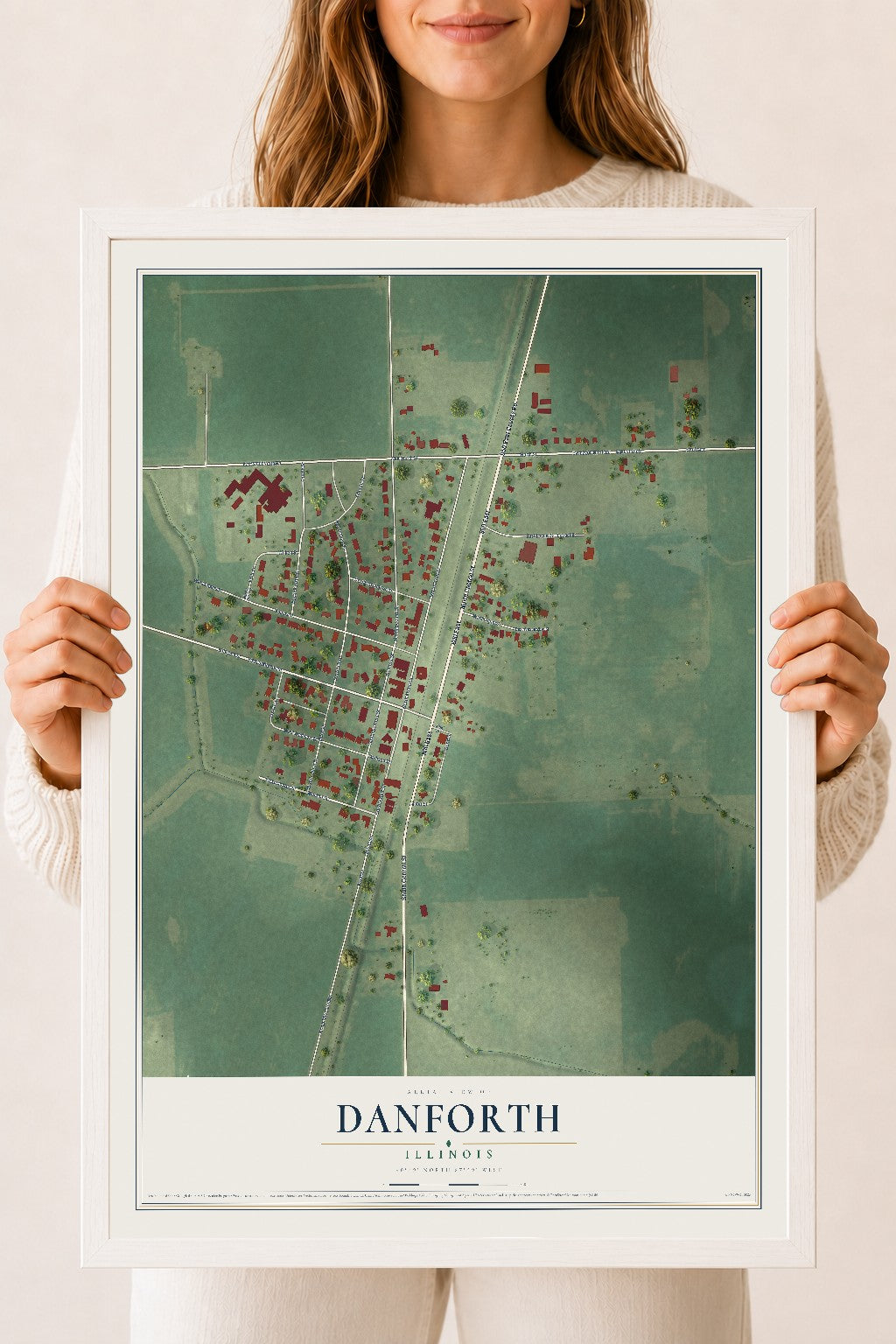 Map of Danforth, Illinois, 18 x 24 inch print in a white wood frame