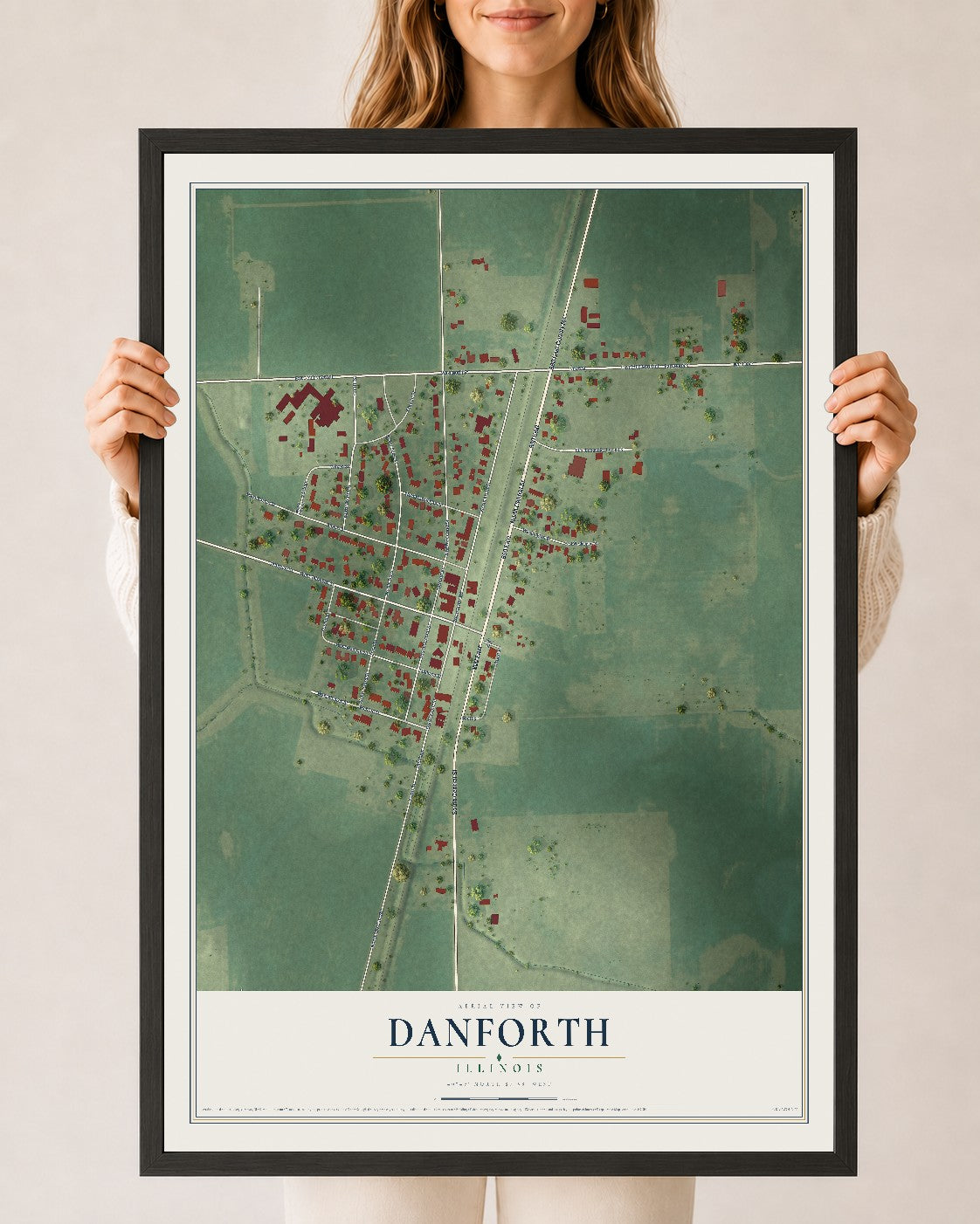 Map of Danforth, Illinois, 24 x 36 inch print in a black wood frame