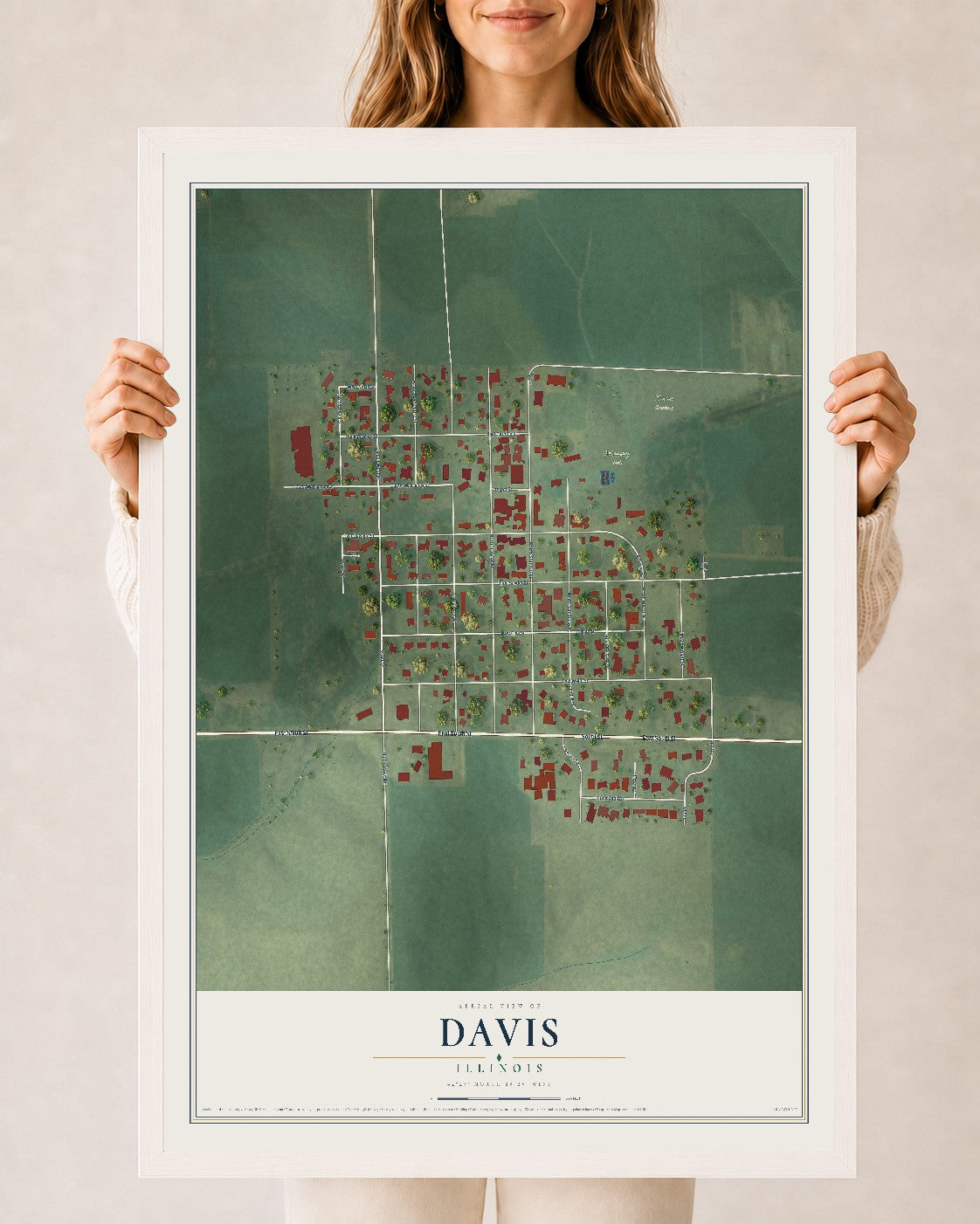 Map of Davis, Illinois, 24 x 36 inch print in a white wood frame