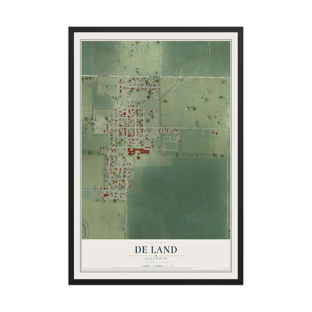 Map of De Land, Illinois, 12 x 18 inch print in a black wood frame