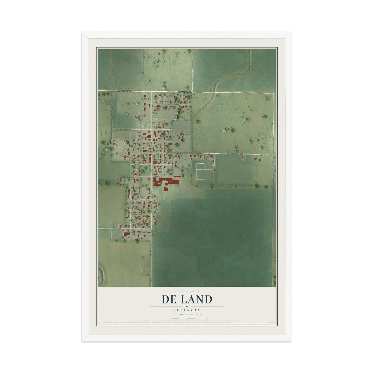 Map of De Land, Illinois, 12 x 18 inch print in a white wood frame