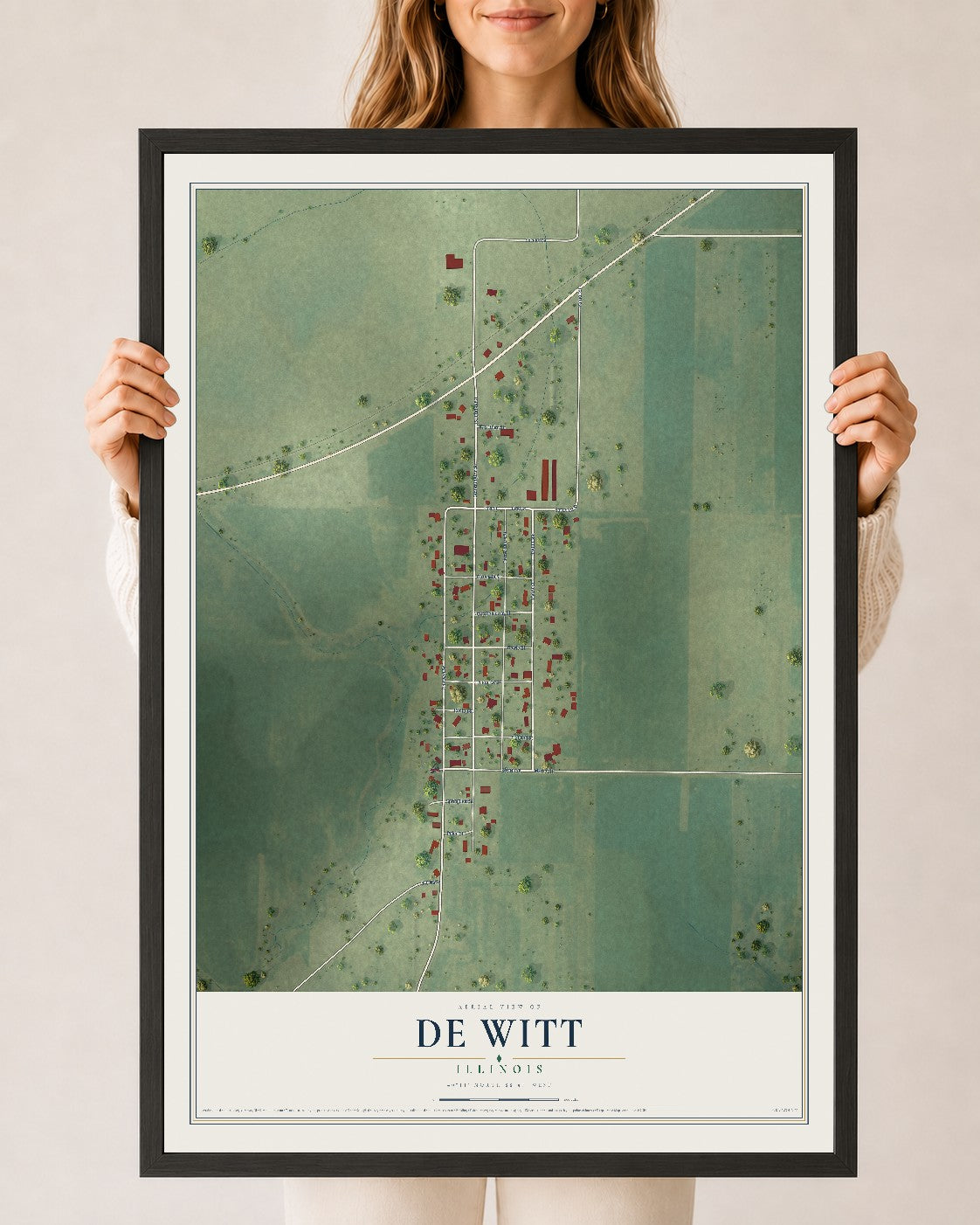 Map of De Witt, Illinois, 24 x 36 inch print in a black wood frame